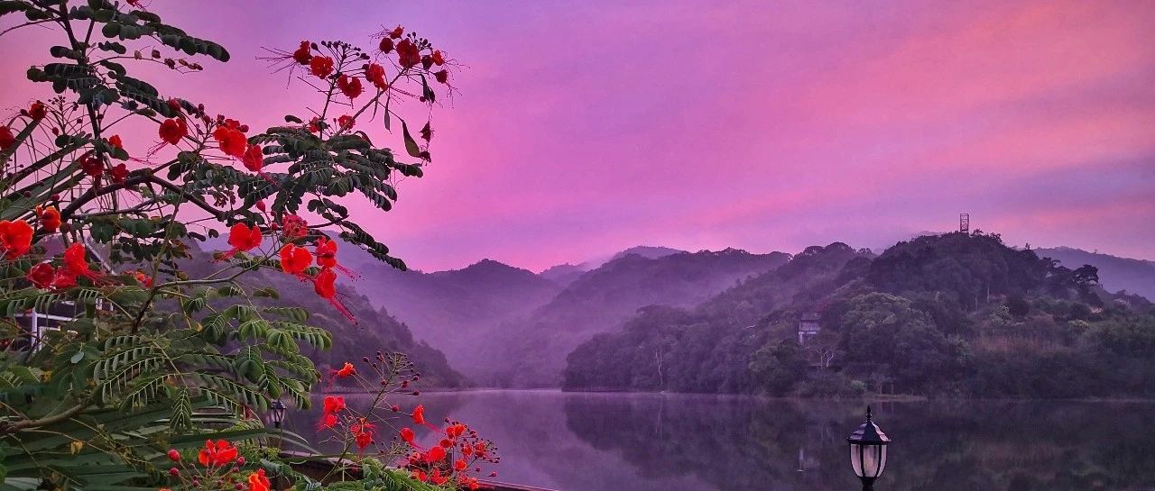weixinCover_1559701909276_643.jpg